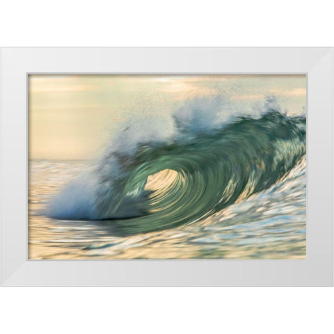 Viridity White Modern Wood Framed Art Print by Sieczkiewicz, David A.