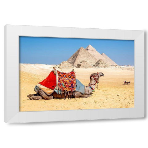 Camel Resting by the Pyramids, Giza, Egypt White Modern Wood Framed Art Print by Silver, Richard