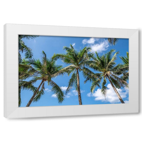 Palawan Palm Trees I White Modern Wood Framed Art Print by Silver, Richard