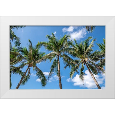 Palawan Palm Trees I White Modern Wood Framed Art Print by Silver, Richard