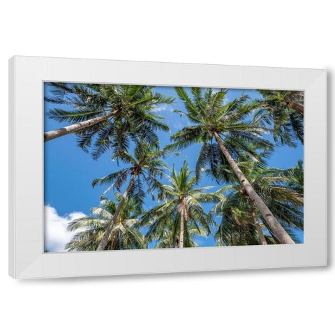 Palawan Palm Trees II White Modern Wood Framed Art Print by Silver, Richard