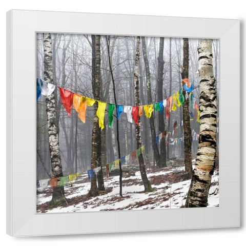 Prayer Flags, Woodstock, NY White Modern Wood Framed Art Print by Sinclair, Kelly
