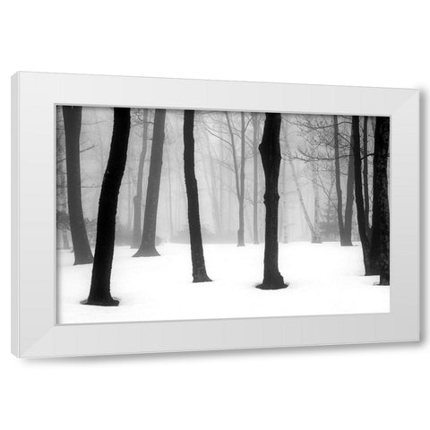 Winter Fog White Modern Wood Framed Art Print by Sinclair, Kelly