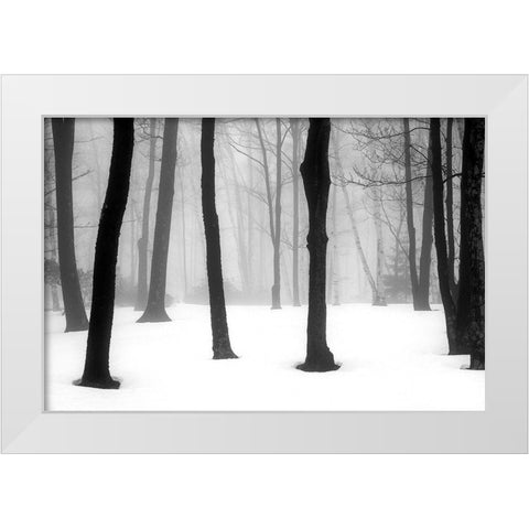 Winter Fog White Modern Wood Framed Art Print by Sinclair, Kelly