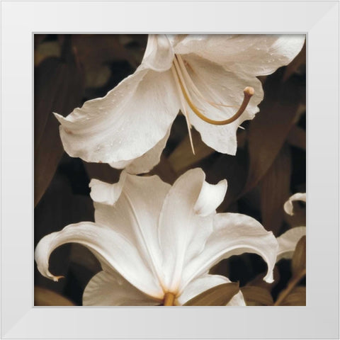 White Lilies White Modern Wood Framed Art Print by Swanson, Rebecca