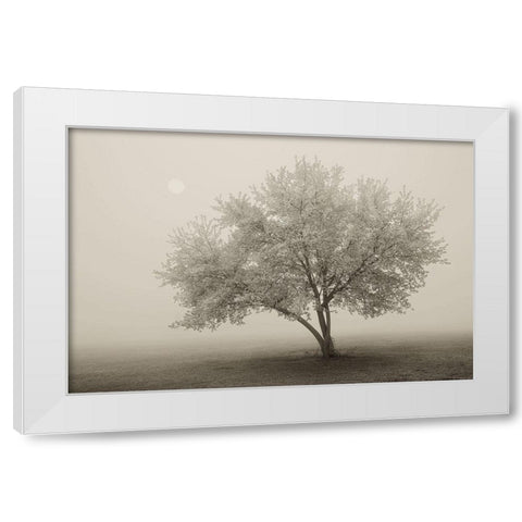 Forever Spring White Modern Wood Framed Art Print by Svibilsky, Igor