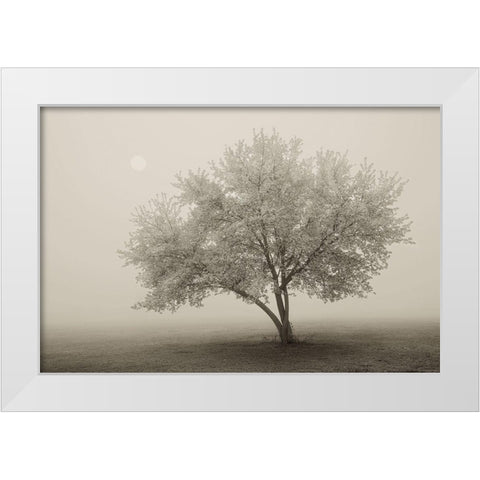 Forever Spring White Modern Wood Framed Art Print by Svibilsky, Igor