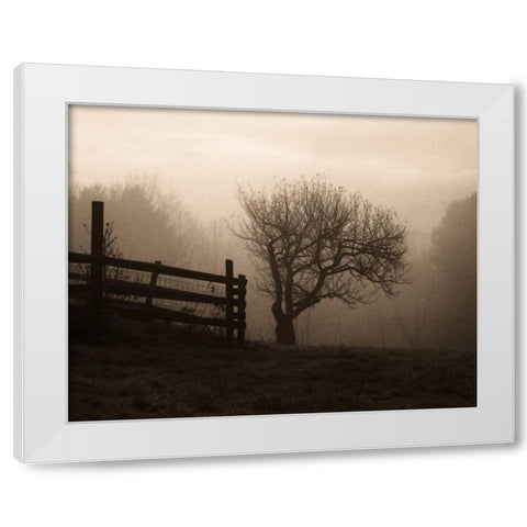 Mountain Meadow Farm White Modern Wood Framed Art Print by Triebert, Christine