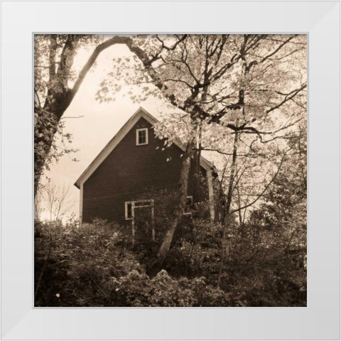 Bough and Barn White Modern Wood Framed Art Print by Triebert, Christine
