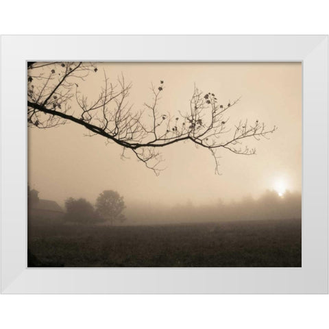 Parish Hill Sunrise White Modern Wood Framed Art Print by Triebert, Christine