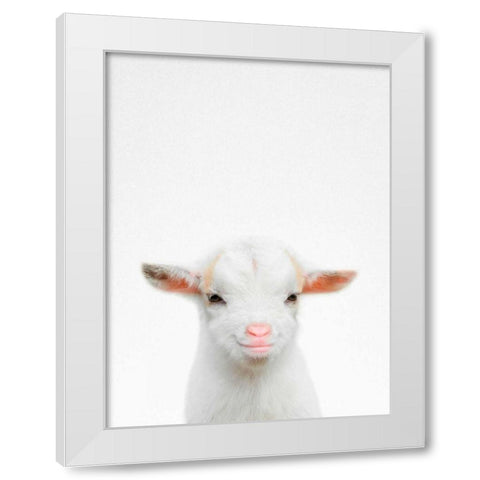 Baby Goat White Modern Wood Framed Art Print by Tai Prints