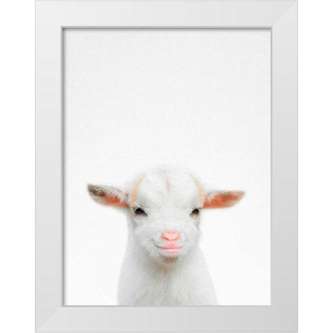 Baby Goat White Modern Wood Framed Art Print by Tai Prints