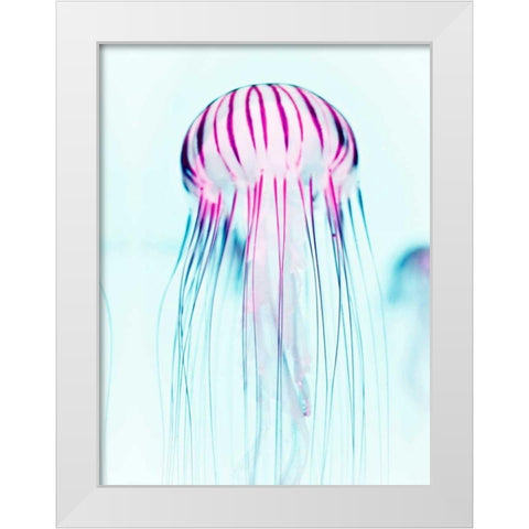 Jelly Fish White Modern Wood Framed Art Print by Tai Prints