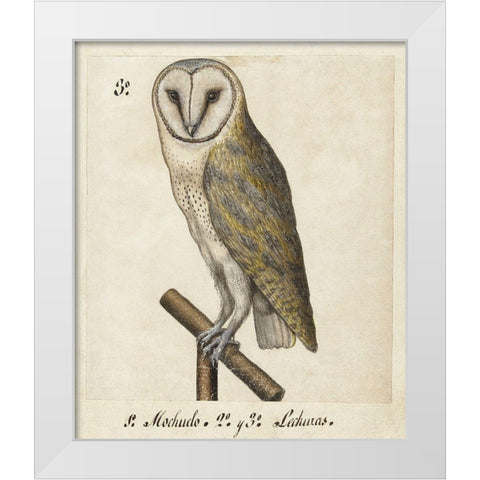 Barn Owl, 1560-1585 White Modern Wood Framed Art Print by Unknown