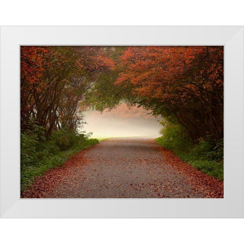 Arc de Triomphe White Modern Wood Framed Art Print by Van de Goor, Lars