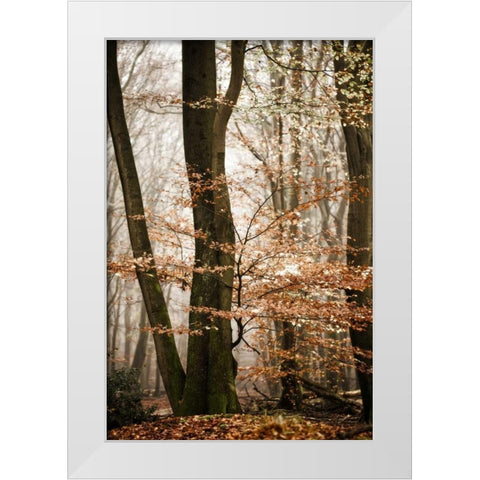Bronze Tree White Modern Wood Framed Art Print by Van de Goor, Lars