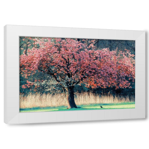 Me and My Tree White Modern Wood Framed Art Print by Van de Goor, Lars