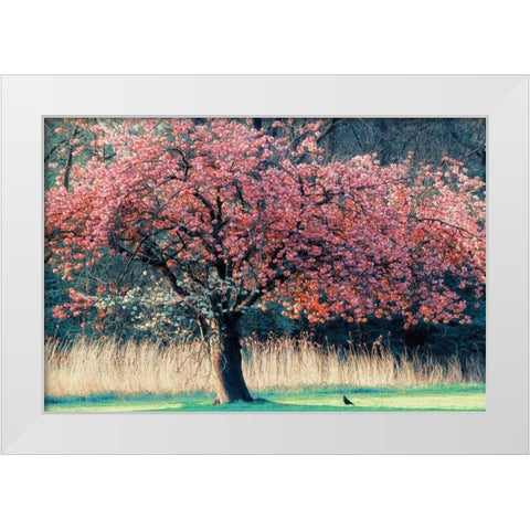Me and My Tree White Modern Wood Framed Art Print by Van de Goor, Lars
