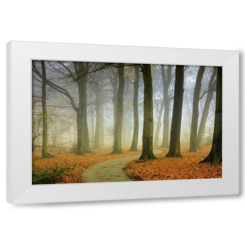 Misty Twisty White Modern Wood Framed Art Print by Van de Goor, Lars