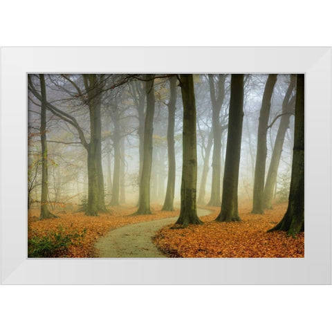 Misty Twisty White Modern Wood Framed Art Print by Van de Goor, Lars