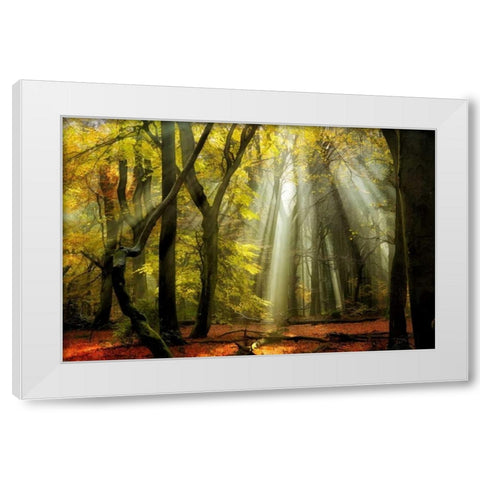 Yellow Leaves Rays White Modern Wood Framed Art Print by Van de Goor, Lars