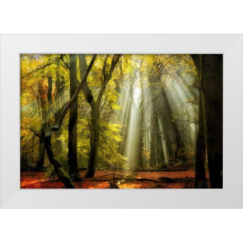 Yellow Leaves Rays White Modern Wood Framed Art Print by Van de Goor, Lars