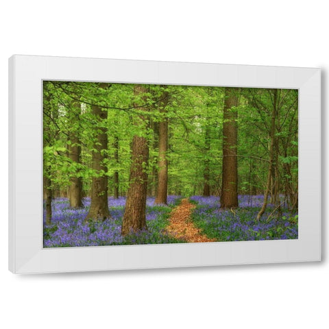 Haller White Modern Wood Framed Art Print by Van de Goor, Lars