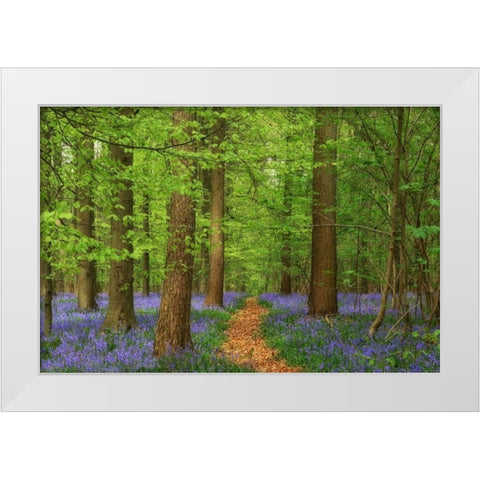 Haller White Modern Wood Framed Art Print by Van de Goor, Lars