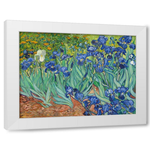 Irises 1889 White Modern Wood Framed Art Print by Van Gogh, Vincent