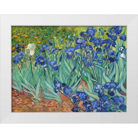 Irises 1889 White Modern Wood Framed Art Print by Van Gogh, Vincent