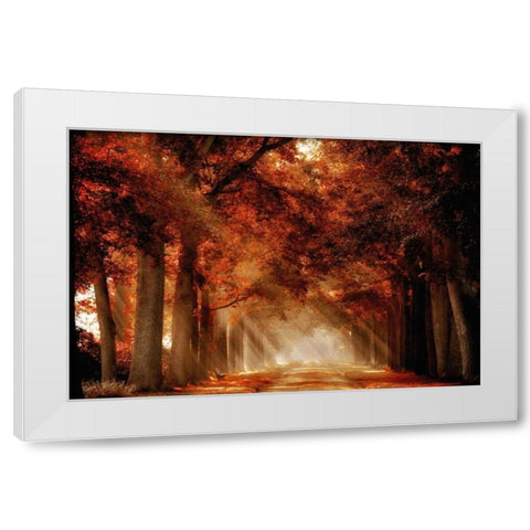 A Seat Not Taken III White Modern Wood Framed Art Print by Van de Goor, Lars