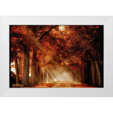 A Seat Not Taken III White Modern Wood Framed Art Print by Van de Goor, Lars