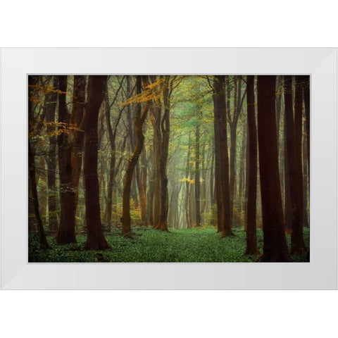 Arriving Nowhere White Modern Wood Framed Art Print by Van de Goor, Lars