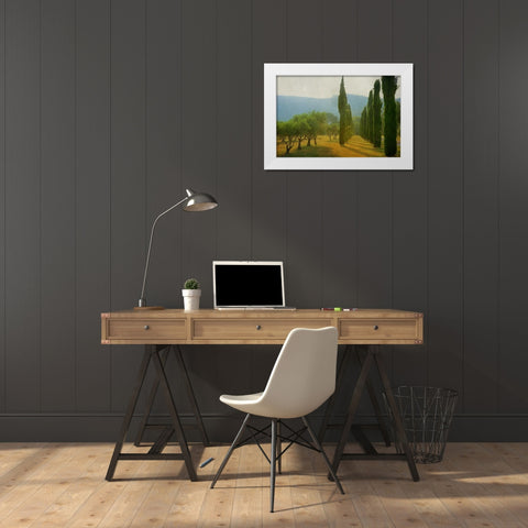 Cypress Shadows White Modern Wood Framed Art Print by Van de Goor, Lars