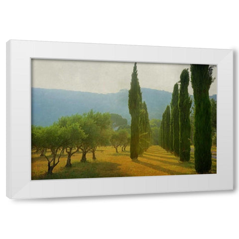 Cypress Shadows White Modern Wood Framed Art Print by Van de Goor, Lars