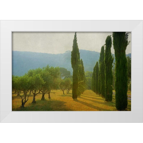 Cypress Shadows White Modern Wood Framed Art Print by Van de Goor, Lars