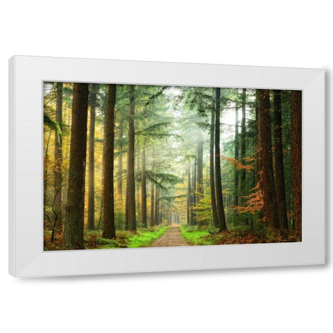 Divide White Modern Wood Framed Art Print by Van de Goor, Lars