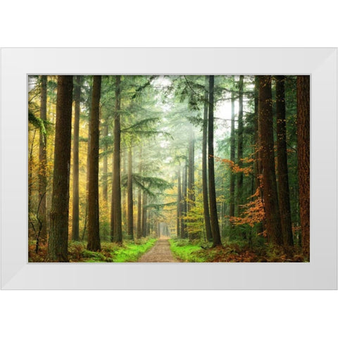 Divide White Modern Wood Framed Art Print by Van de Goor, Lars