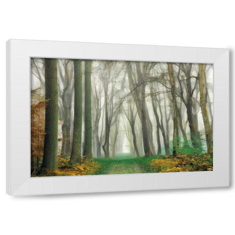 Magic Is Everywhere White Modern Wood Framed Art Print by Van de Goor, Lars