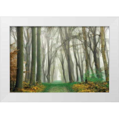 Magic Is Everywhere White Modern Wood Framed Art Print by Van de Goor, Lars