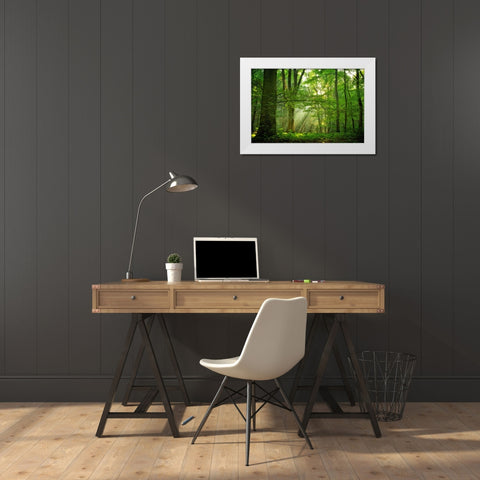 Breathe White Modern Wood Framed Art Print by Van de Goor, Lars