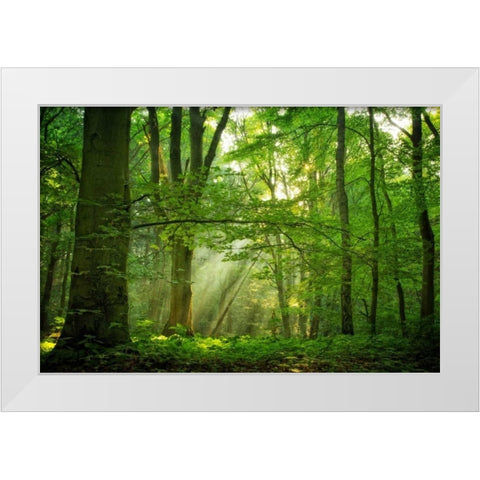 Breathe White Modern Wood Framed Art Print by Van de Goor, Lars