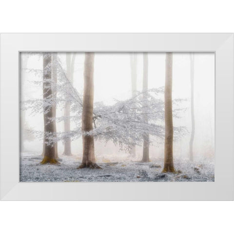 Lishka White Modern Wood Framed Art Print by Van de Goor, Lars