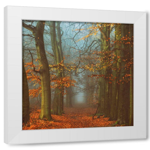 Path of The Mystics White Modern Wood Framed Art Print by Van de Goor, Lars