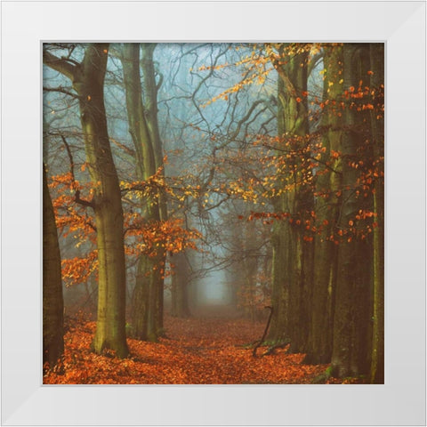 Path of The Mystics White Modern Wood Framed Art Print by Van de Goor, Lars