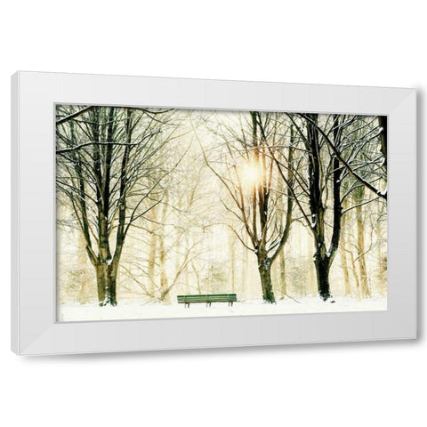 Too Cold To Sit White Modern Wood Framed Art Print by Van de Goor, Lars