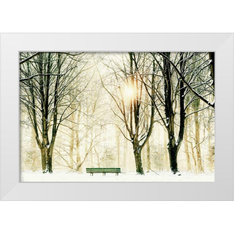Too Cold To Sit White Modern Wood Framed Art Print by Van de Goor, Lars