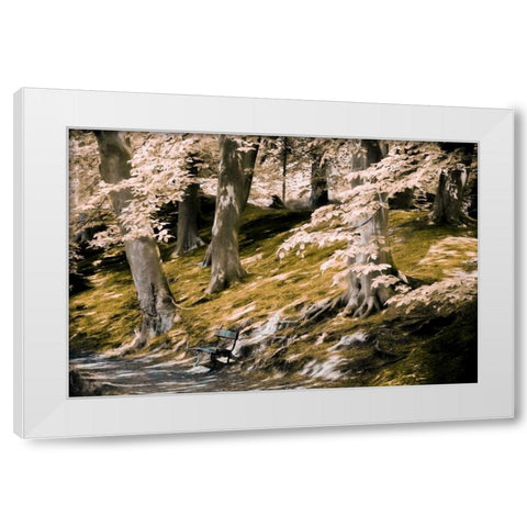 A Fine Place to Rest White Modern Wood Framed Art Print by Van de Goor, Lars