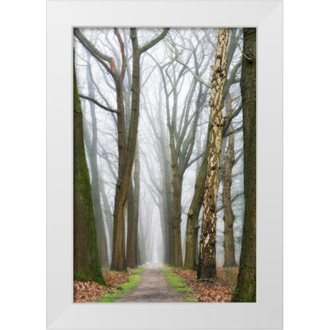 At the End You Will Find a New Beginning White Modern Wood Framed Art Print by Van de Goor, Lars