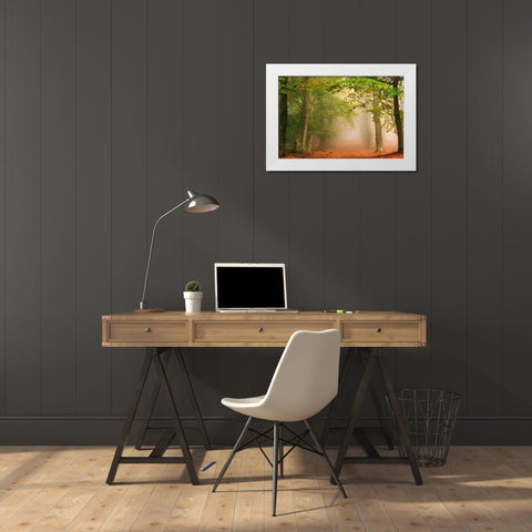 Dreambridge White Modern Wood Framed Art Print by Van de Goor, Lars